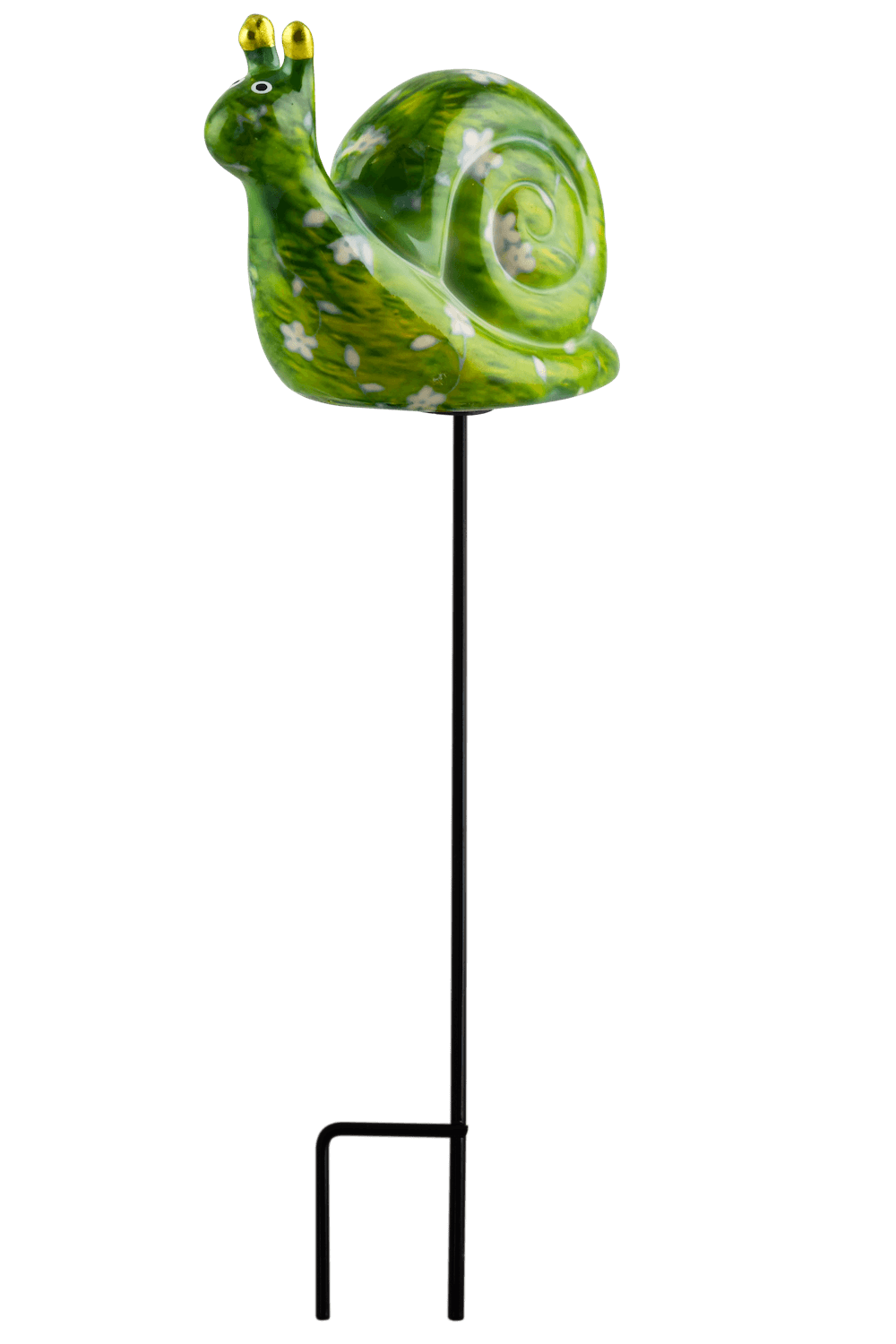 Snail Speedy