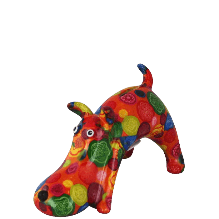 Dog Elvis